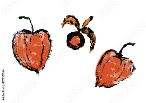 ほおずき和風筆イラスト