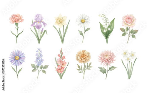 Watercolor Birth Month Flower Clipart Set — 12 Monthly Botanical Flowers January to December 