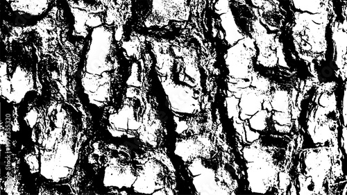 Texture of tree bark