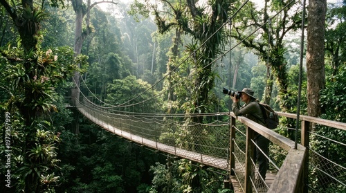 A jungle canopy walkway suspended forty meters above a primary rainforest floor, the rope and steel bridge curving gently through the mid-canopy level, giant emergent