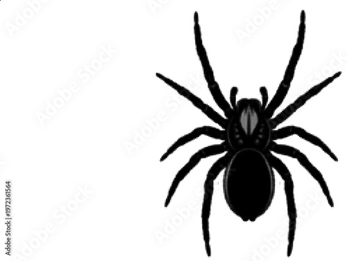 Spider Silhouette Halftone Illustration Isolated on White
