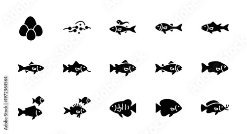 Black fish icons on white background.