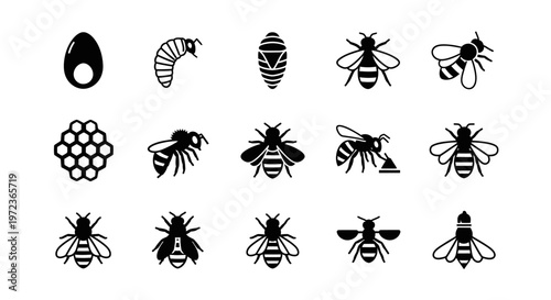 Black silhouettes of various bee insects.