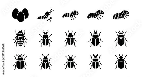 Collection of various black beetle silhouettes.
