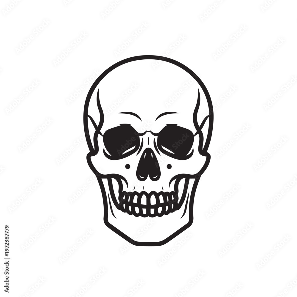 Fototapeta premium Human Skull Illustration Front View Line Art Isolated on White Stock Graphic