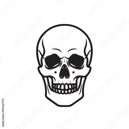 Human Skull Illustration Front View Line Art Isolated on White Stock Graphic