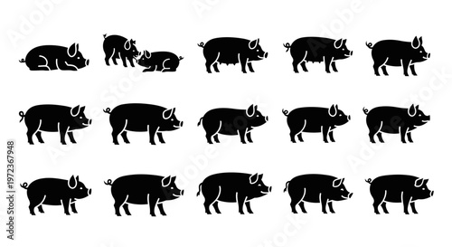 Group of wild boar silhouettes walking.