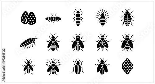 Variety of Insect Silhouettes Displayed.