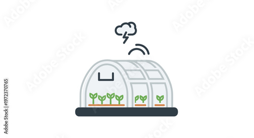 Greenhouse with plants and rain.