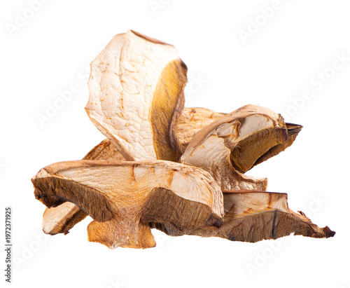 Dried porcini mushrooms isolated on white background. Clipping path.