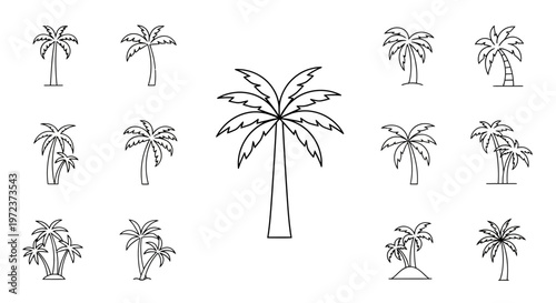 Black and white palm tree illustrations.