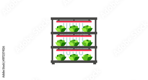 Broccoli on a shelf display.