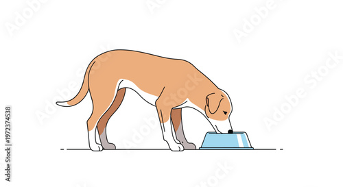 Brown and white dog eating from a blue food bowl on a clean white background in professional flat vector style illustration.