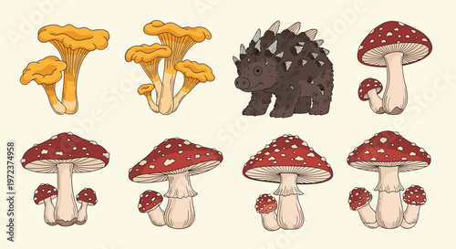 Natural history illustration featuring various mushrooms like chanterelles and fly agarics along with a small brown spiky animal.