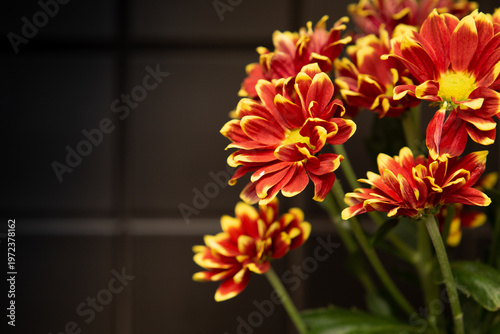Red and yellow flowers on the black tile background