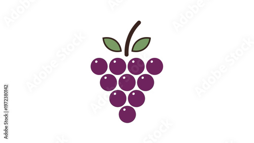 Purple grapes bunch with green leaves.