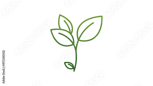 Green plant sprout with leaves growing.