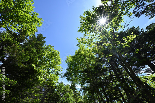 Climbing Mount Kobushigatake, Chichibu, Japan