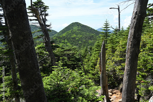 Climbing Mount Kobushigatake, Chichibu, Japan