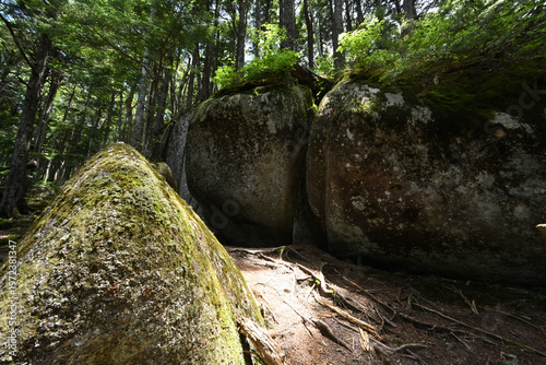 Climbing Mount Kobushigatake, Chichibu, Japan