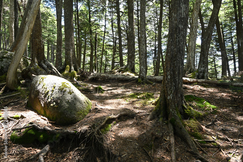 Climbing Mount Kobushigatake, Chichibu, Japan