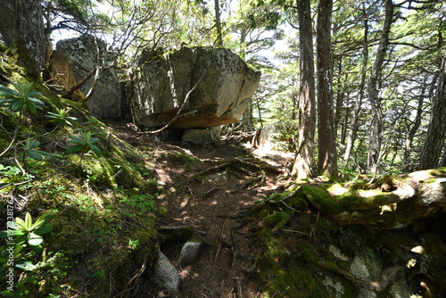 Climbing Mount Kobushigatake, Chichibu, Japan