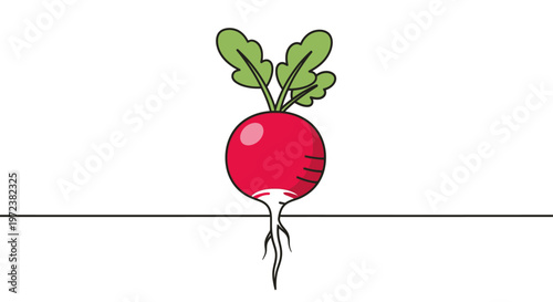 Single radish growing from the soil