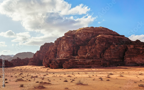 Rock formations in Wadi Rum desert, small shrubs and bushes growing on sand
