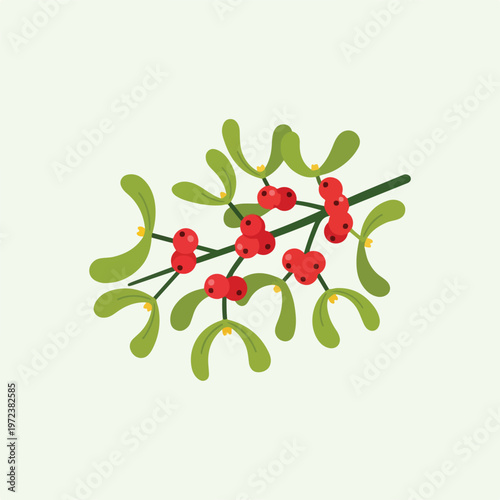 Mistletoe with red berries and leaves.