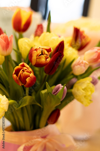Beautiful and colorful tulip flowers closeup