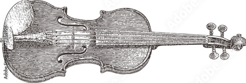 vintage violin illustration hand drawn musical instrument with detailed wood textures and strings