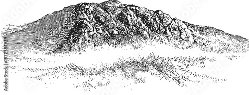 Vintage mountain landscape engraving detailed black and white rocky peak with forest foreground