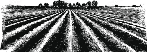black and white engraved illustration of cultivated agricultural field with trees on horizon