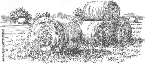 Round hay bales stacked in a grassy field with trees in the background, rural farm landscape sketch