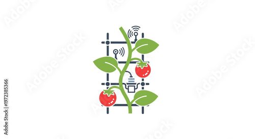 Tomato plant with green leaves growing.