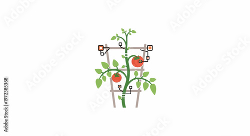 Tomato plant with red tomatoes growing.