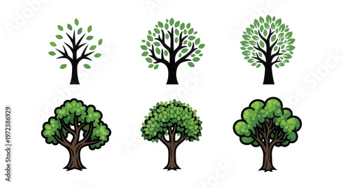 a set of six different trees with green leaves