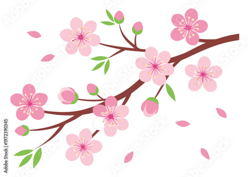 A single cherry blossom branch with pink flowers and closed buds extends diagonally across a white background with scattered pink petals floating in the air.