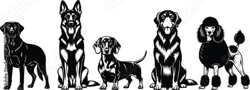 Vector collection of various dog breed silhouettes featuring German Shepherd Labrador Retriever Poodle and Dachshund icons isolated on white background for design.
