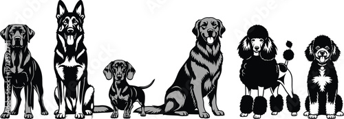 Collection of various dog breed silhouettes including German Shepherd Labrador Retriever Poodle and Dachshund in black and white isolated on white background.