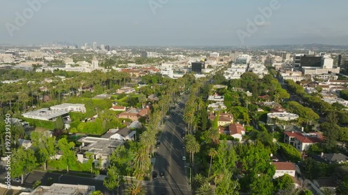 Aerial view of beverly hills california palm trees street with city in background on a sunny day