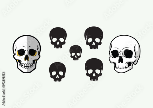 Vector graphic collection featuring stylized human skulls in various sizes and artistic styles, offering diverse design elements for conceptual themes