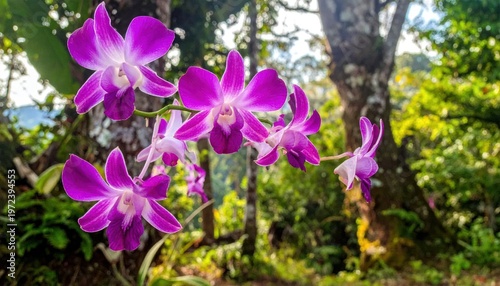 Vibrant Purple Orchids Blooming in a Lush Tropical Garden Setting.