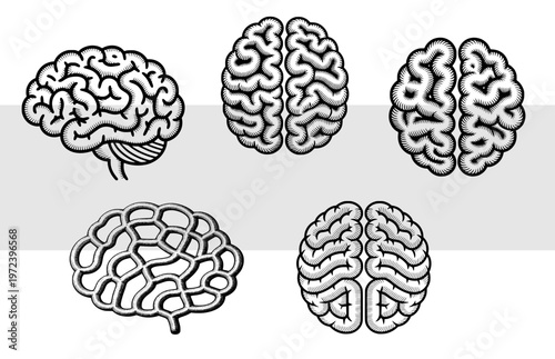 Human brain icons set, engraving style, medical anatomy vector, mental health symbols, neurology sketches isolated on white and grey background