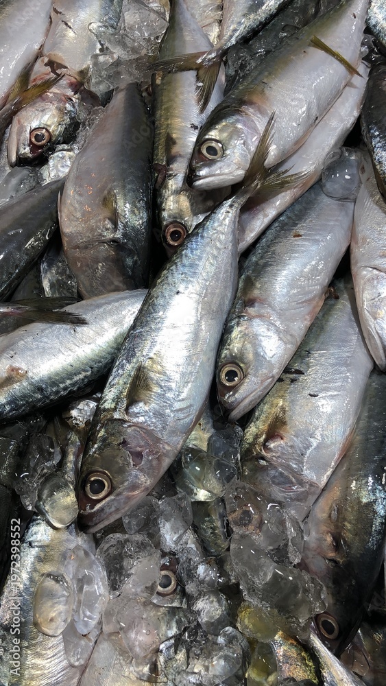 Obraz premium fresh fish on the market 