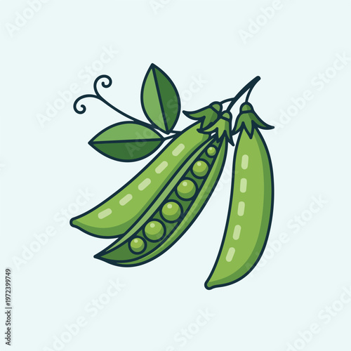 Green peas pods with leaves attached.