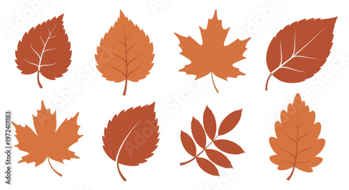 Collection of Autumn Leaves in Various Shapes and Colors.