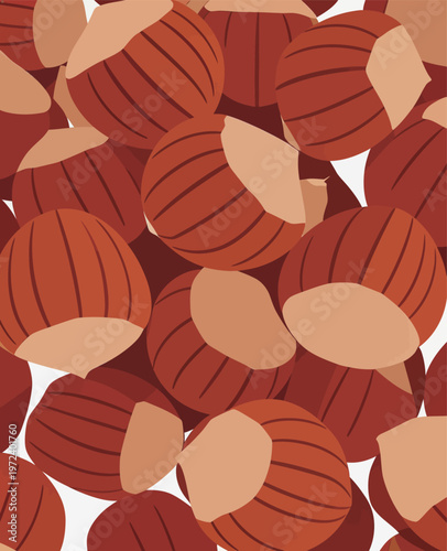 Hazelnuts scattered in different positions on a white background during a sunny day in autumn season