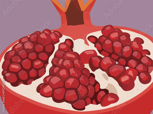 Pomegranate cut in half showing red seeds and white flesh on purple background