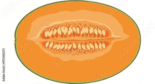 Half cut orange cantaloupe melon showing seeds and flesh